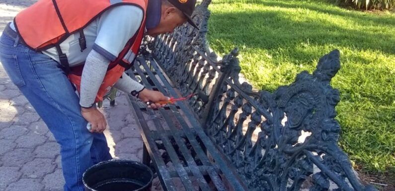 Dan mantenimiento a parques, jardines y espacios públicos de la ciudad