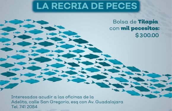 Dirección de Desarrollo Rural abre convocatoria para Programa de Recría de Peces