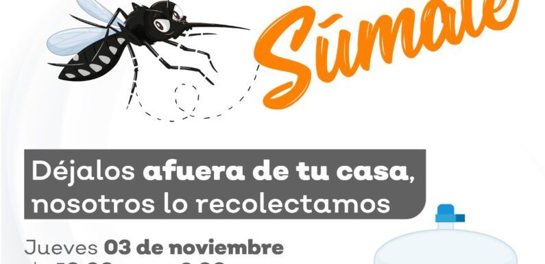 Gobierno Municipal realizará campaña de descacharrización en Paseos de la Montaña