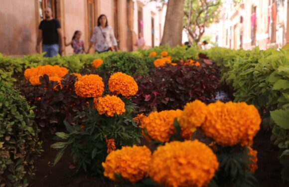 Embellecen espacios públicos durante festejos por el Día de Muertos