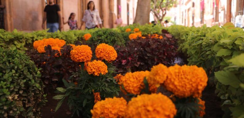 Embellecen espacios públicos durante festejos por el Día de Muertos