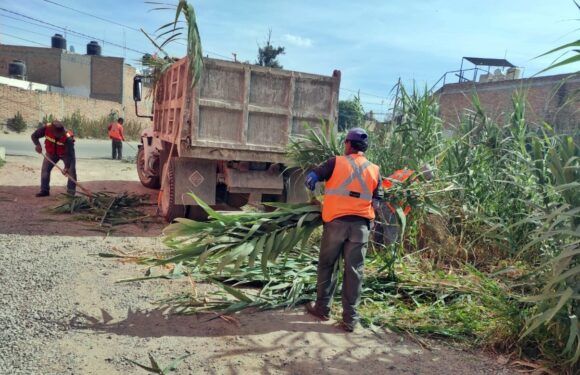 Personal de Obras Pública realiza desazolve en arroyos del Guaricho y El Guayabo
