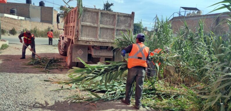 Personal de Obras Pública realiza desazolve en arroyos del Guaricho y El Guayabo