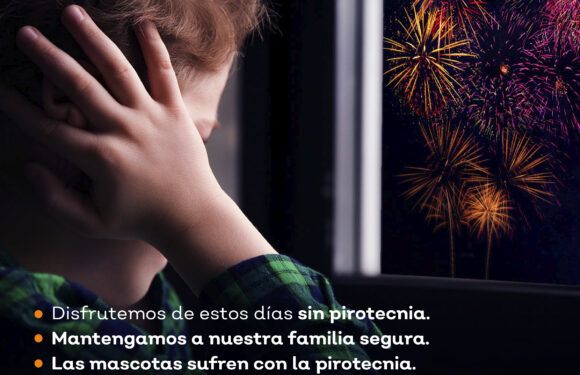 Exhorta Protección Civil no usar pirotecnia en fiestas de fin de año