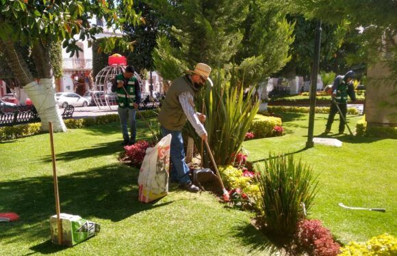 Dan mantenimiento a jardines del Centro Histórico