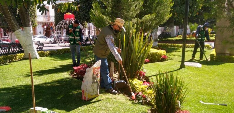 Dan mantenimiento a jardines del Centro Histórico