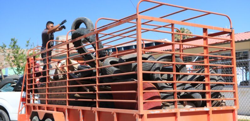 Recolecta Aseo Público más de una tonelada de basura en fraccionamiento Capuchinas