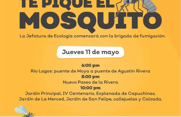 Gobierno Municipal inicia campaña de fumigación por varias colonias de la ciudad