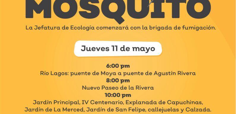 Gobierno Municipal inicia campaña de fumigación por varias colonias de la ciudad