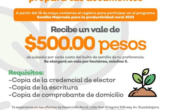 Ofrece Gobierno subsidio para la compra de semilla mejorada