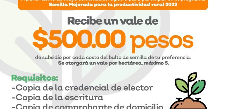 Ofrece Gobierno subsidio para la compra de semilla mejorada