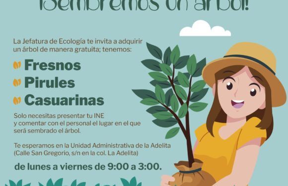 Ecología Municipal implementa campaña de reforestación