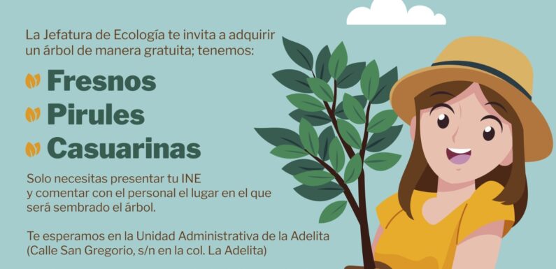 Ecología Municipal implementa campaña de reforestación