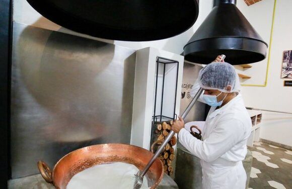 Abre ASICA ventanilla para acceder al Programa Estatal de Sanidad, Inocuidad y Calidad Agroalimentaria 2025