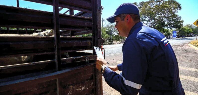 Mantiene Jalisco activa la campaña para oportuna detección del Gusano Barrenador del Ganado