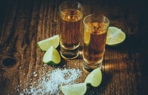 Industria tequilera analiza impacto arancelario
