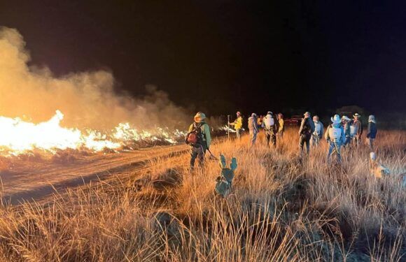 Logran sofocar incendio forestal en La Troje
