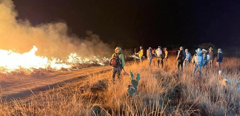Logran sofocar incendio forestal en La Troje