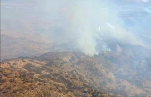 Trabajan autoridades en el sofocamiento de incendios forestales