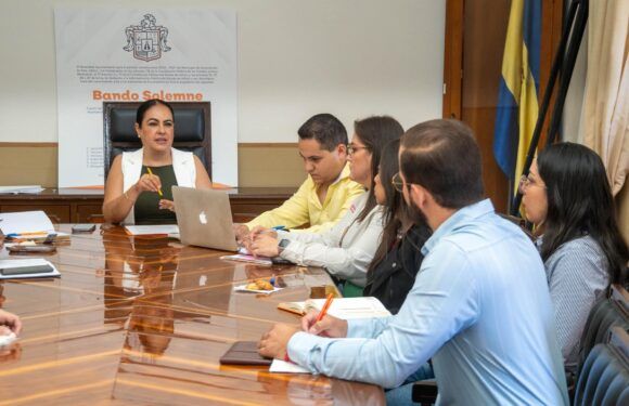 Sesiona Consejo Municipal de Salud de Encarnación de Díaz