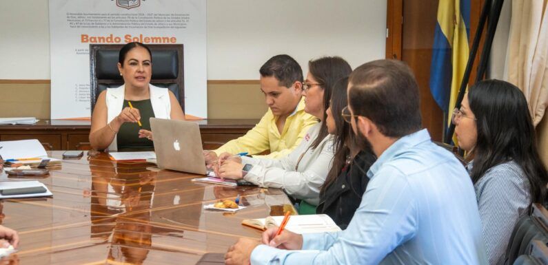 Sesiona Consejo Municipal de Salud de Encarnación de Díaz