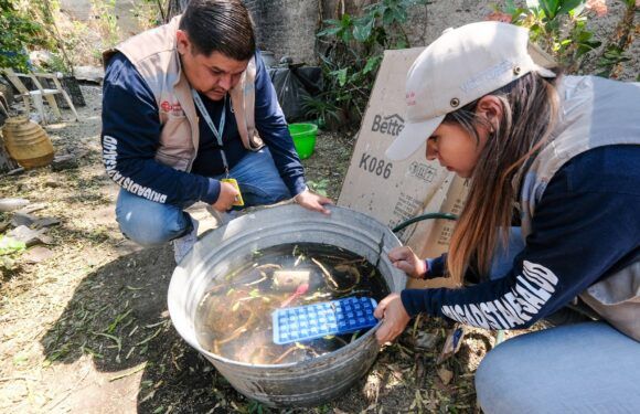 Llama Secretaría de Salud Jalisco a permitir paso de brigadistas contra el dengue en viviendas