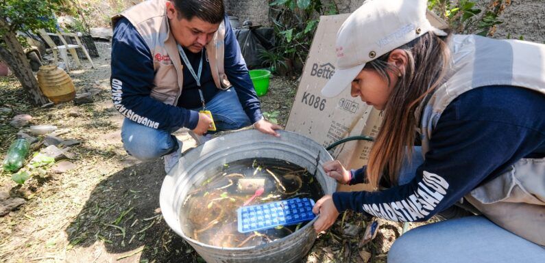 Llama Secretaría de Salud Jalisco a permitir paso de brigadistas contra el dengue en viviendas