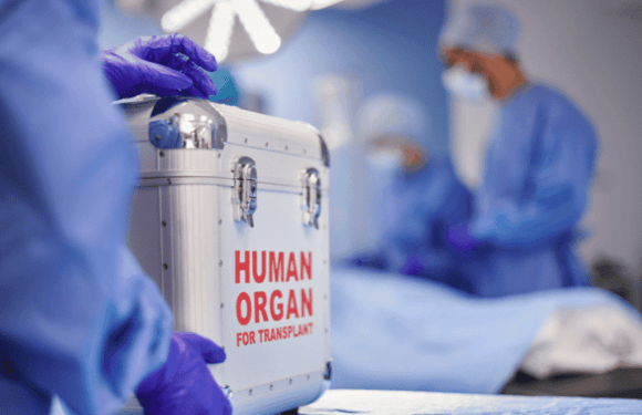Promueven donación de órganos en el Día Mundial de los Pacientes Trasplantados
