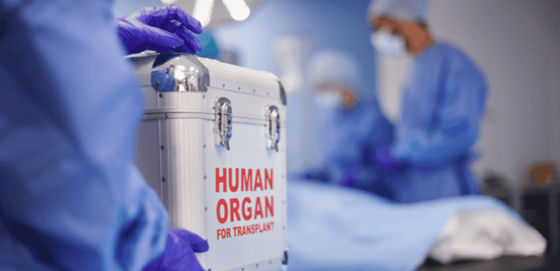 Promueven donación de órganos en el Día Mundial de los Pacientes Trasplantados