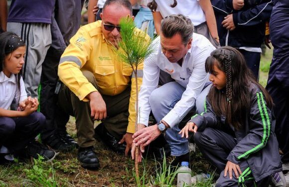 Arranca Pablo Lemus la Jornada de Reforestaciones 2025