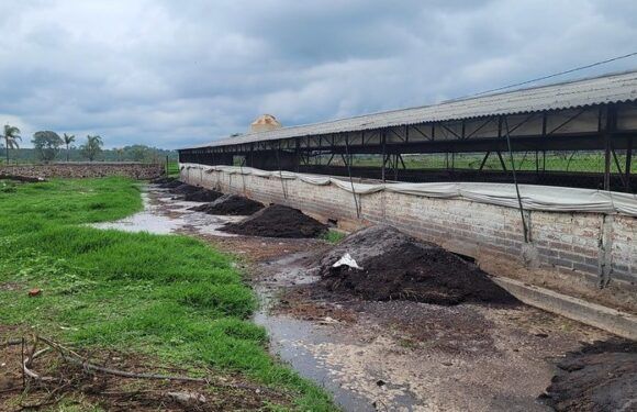 Realiza PROEPA clausuras en Lagos de Moreno y otro municipios por incumplimiento a leyes y normas ambientales