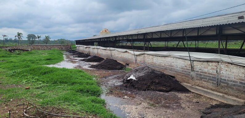 Realiza PROEPA clausuras en Lagos de Moreno y otro municipios por incumplimiento a leyes y normas ambientales