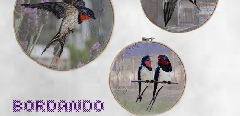 XXII Festival Cultural Otoño en Lagos: bordando caminos de paz con el arte y la cultura
