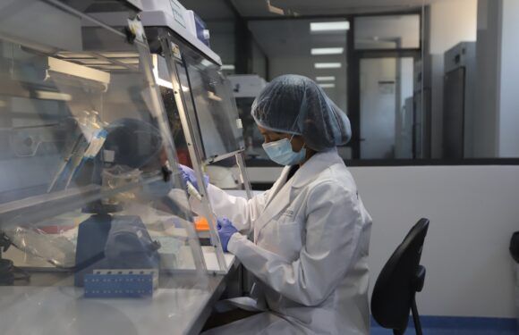 Ofrece Instituto Jalisciense de Ciencias Forenses pruebas de embarazo y paternidad