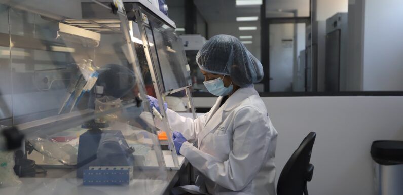 Ofrece Instituto Jalisciense de Ciencias Forenses pruebas de embarazo y paternidad