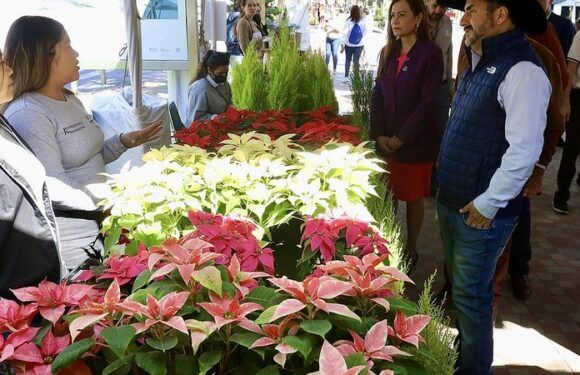 Supera Festival de las Flores expectativa de visitantes con más de 30 mil asistentes