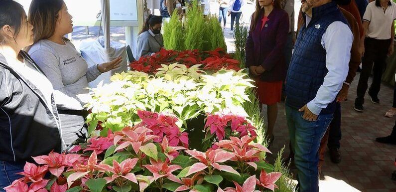 Supera Festival de las Flores expectativa de visitantes con más de 30 mil asistentes