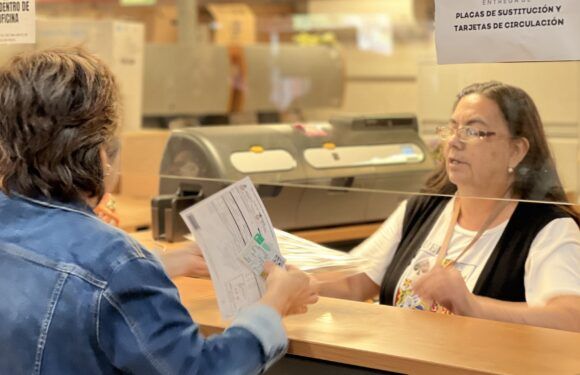 Marzo es la fecha límite para hacer el canje de placas sin costo
