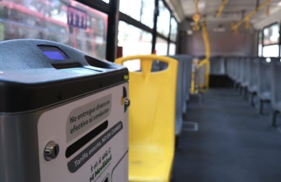 Anuncia SETRAN llegada de cinco unidades nuevas para modernización del transporte público en Lagos de Moreno