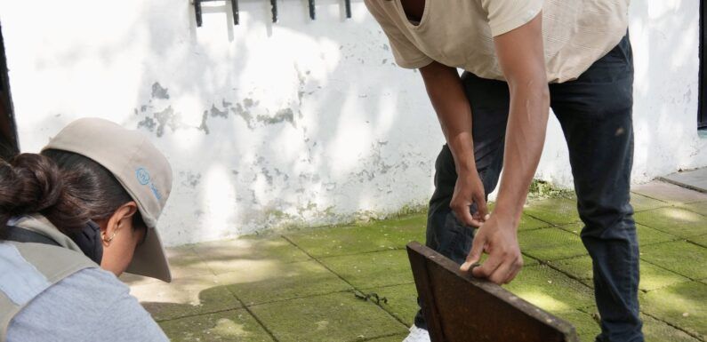 Refuerza Jalisco brigadas contra el dengue